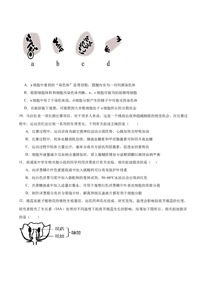 江苏省南京市第一中学2026届高三上学期10月月考生物试卷（含答案）_2025年10月_12026年试卷教辅资源等多个文件_251031江苏省南京市第一中学2025-2026学年高三上学期10月月考