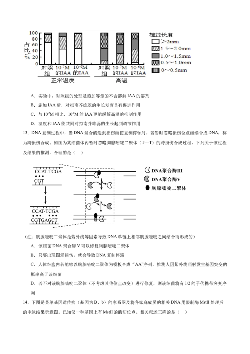 江苏省南京市第一中学2026届高三上学期10月月考生物试卷（含答案）_2025年10月_12026年试卷教辅资源等多个文件_251031江苏省南京市第一中学2025-2026学年高三上学期10月月考
