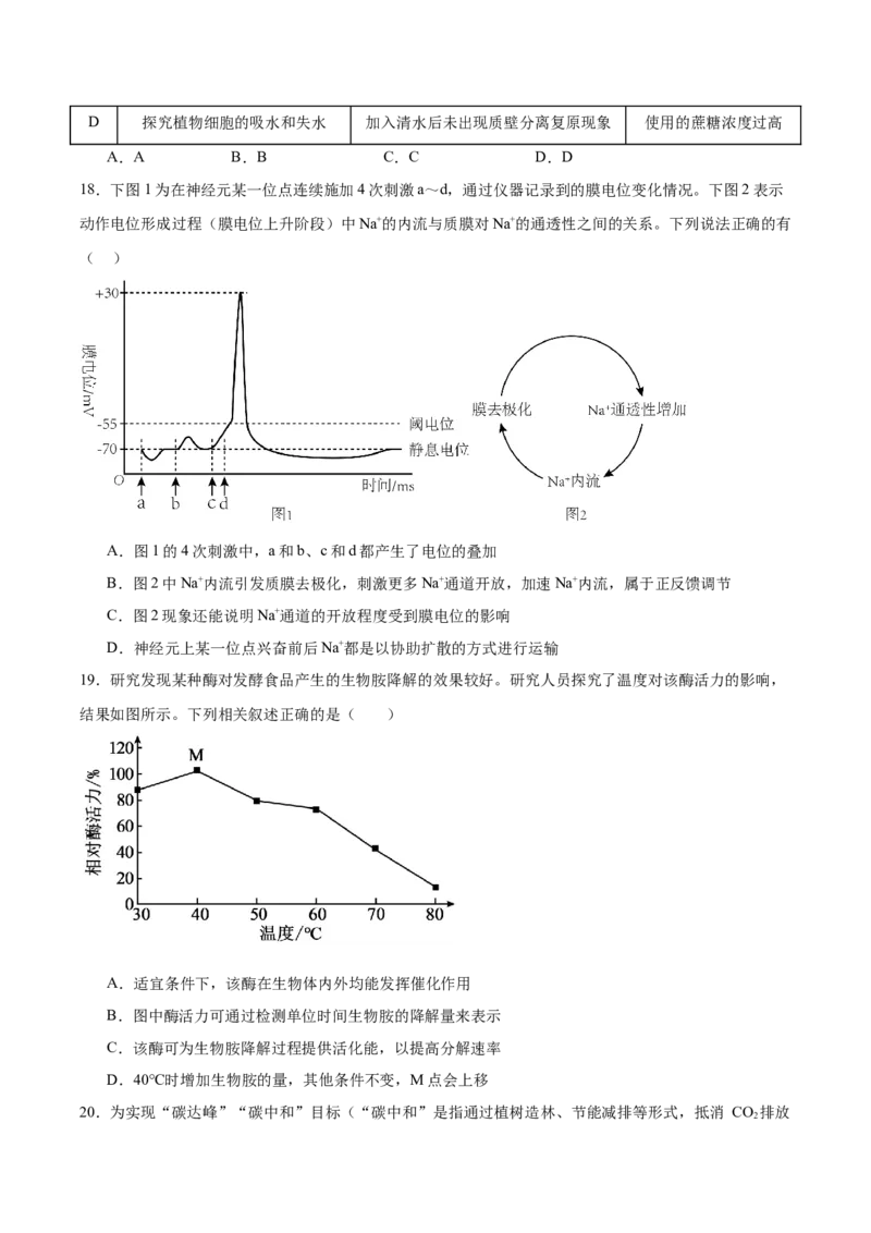 江苏省南京市第一中学2026届高三上学期10月月考生物试卷（含答案）_2025年10月_12026年试卷教辅资源等多个文件_251031江苏省南京市第一中学2025-2026学年高三上学期10月月考