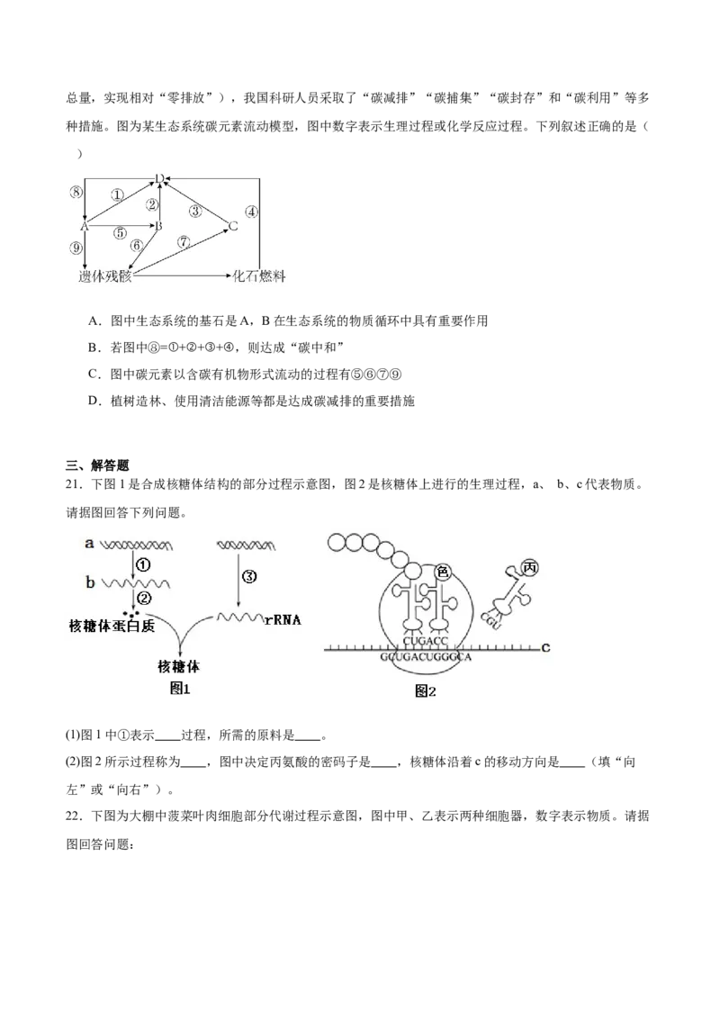江苏省南京市第一中学2026届高三上学期10月月考生物试卷（含答案）_2025年10月_12026年试卷教辅资源等多个文件_251031江苏省南京市第一中学2025-2026学年高三上学期10月月考