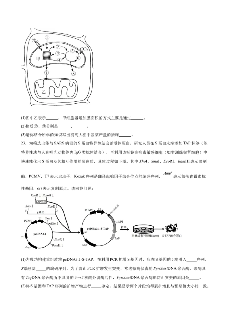 江苏省南京市第一中学2026届高三上学期10月月考生物试卷（含答案）_2025年10月_12026年试卷教辅资源等多个文件_251031江苏省南京市第一中学2025-2026学年高三上学期10月月考