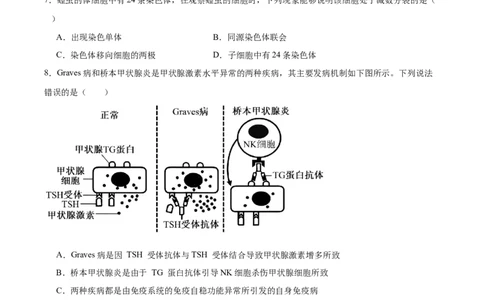 江苏省南京市第一中学2026届高三上学期10月月考生物试卷（含答案）_2025年10月_12026年试卷教辅资源等多个文件_251031江苏省南京市第一中学2025-2026学年高三上学期10月月考