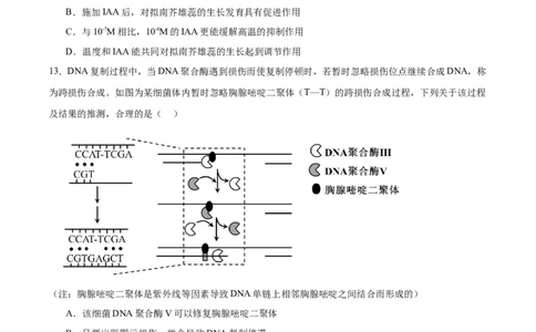 江苏省南京市第一中学2026届高三上学期10月月考生物试卷（含答案）_2025年10月_12026年试卷教辅资源等多个文件_251031江苏省南京市第一中学2025-2026学年高三上学期10月月考