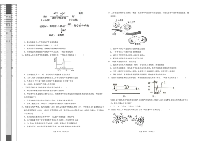 高二生物第一次月考卷（新八省通用）（考试版A3）测试范围：选择性必修1第1~4章（人教版2019）(1)_1多考区联考