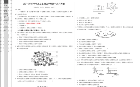 高二生物第一次月考卷（新八省通用）（考试版A3）测试范围：选择性必修1第1~4章（人教版2019）(1)_1多考区联考