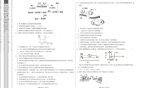 高二生物第一次月考卷（新八省通用）（考试版A3）测试范围：选择性必修1第1~4章（人教版2019）(1)_1多考区联考