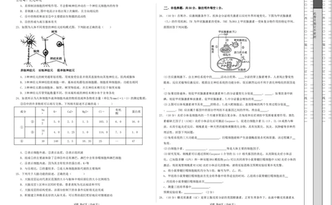 高二生物第一次月考卷（新八省通用）（考试版A3）测试范围：选择性必修1第1~4章（人教版2019）(1)_1多考区联考