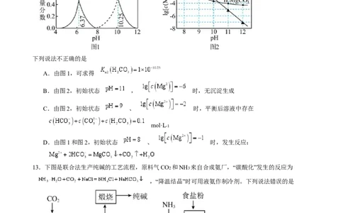 湖南省岳阳市岳阳县第一中学2024-2025学年高三上学期12月月考化学试题Word版含答案_2025年1月_250103湖南省岳阳市岳阳县第一中学2024-2025学年高三上学期12月月考