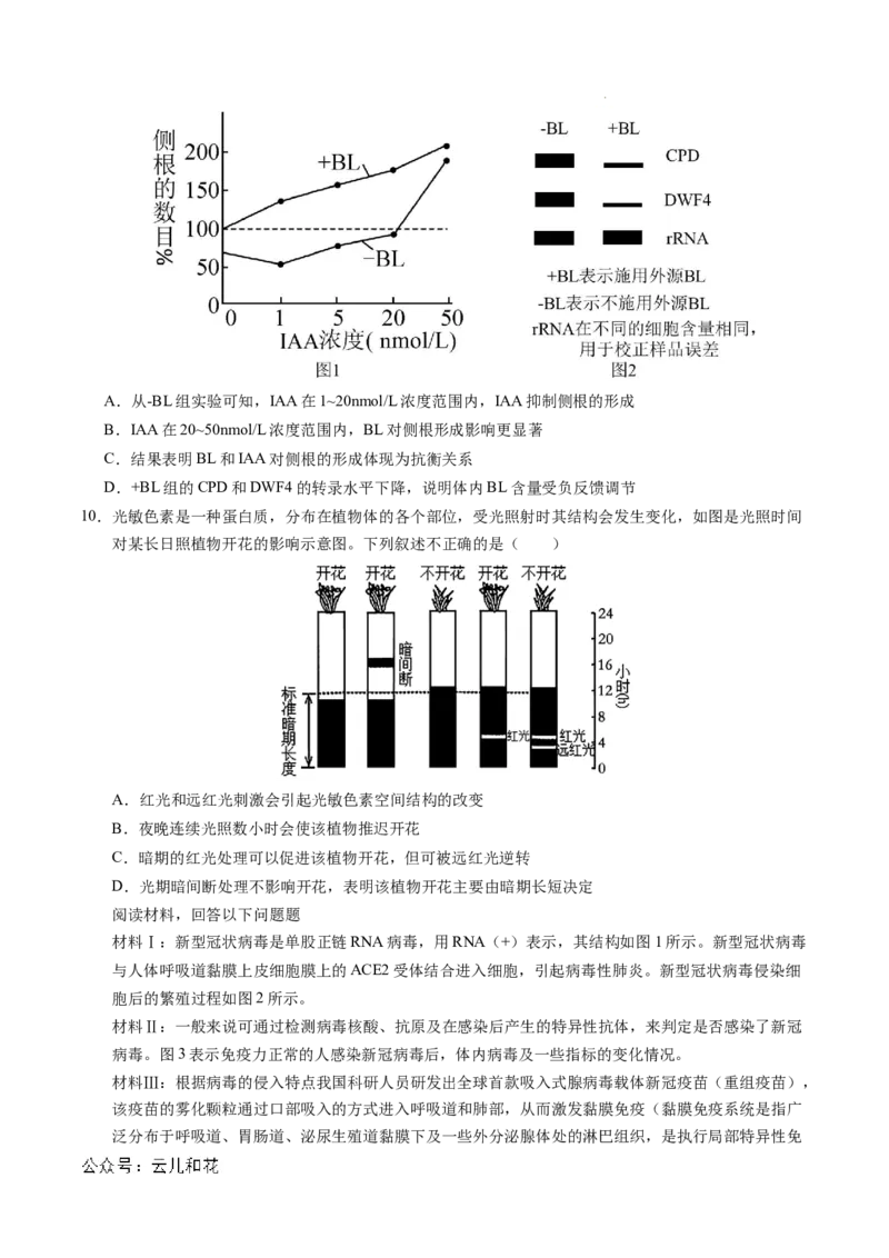 高二生物期中模拟卷测试范围：第1~5章（考试版A4）（天津专用）(1)_1多考区联考_1021高二期中模拟卷（天津专用）黄金卷：2024-2025学年高二上学期期中模拟考试