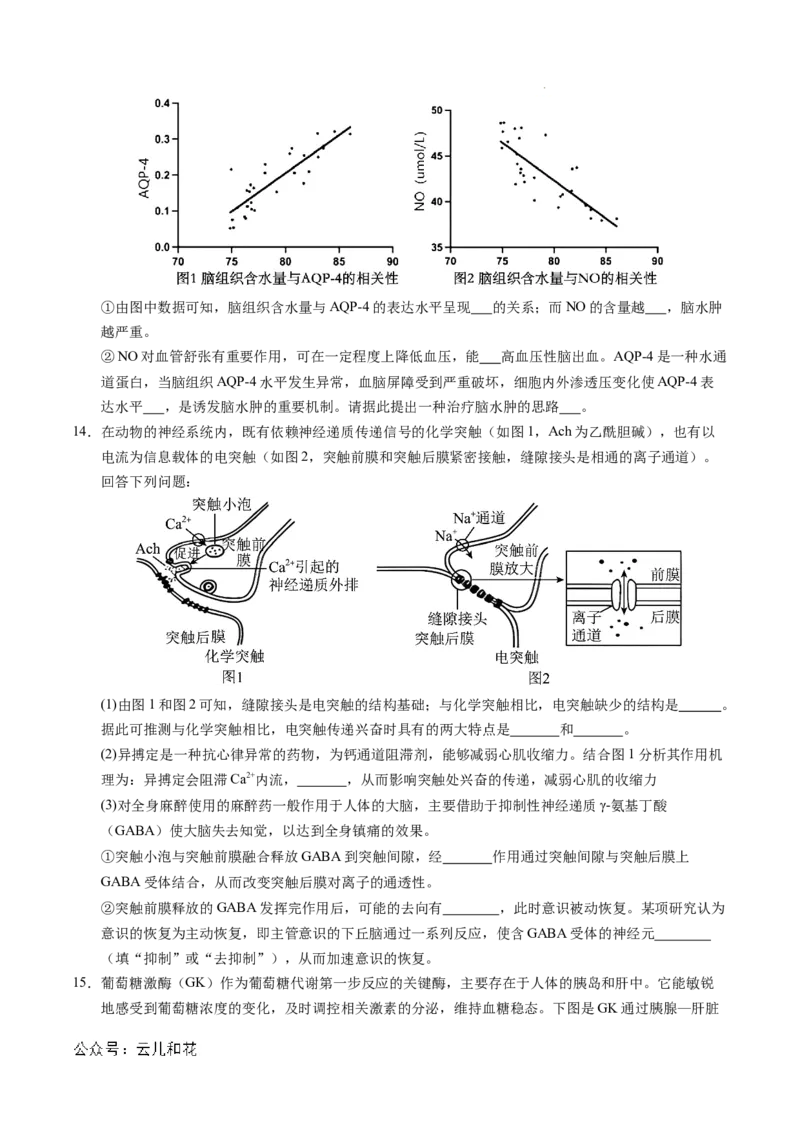 高二生物期中模拟卷测试范围：第1~5章（考试版A4）（天津专用）(1)_1多考区联考_1021高二期中模拟卷（天津专用）黄金卷：2024-2025学年高二上学期期中模拟考试