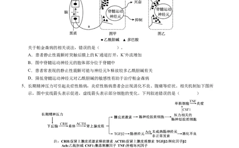 高二生物期中模拟卷测试范围：第1~5章（考试版A4）（天津专用）(1)_1多考区联考_1021高二期中模拟卷（天津专用）黄金卷：2024-2025学年高二上学期期中模拟考试