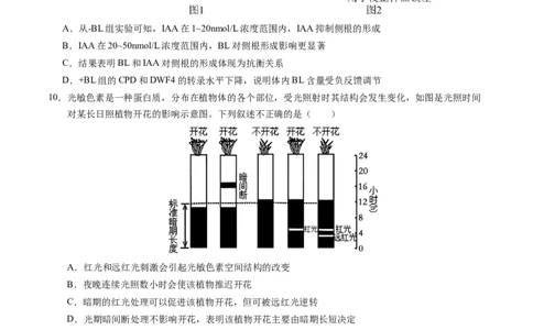 高二生物期中模拟卷测试范围：第1~5章（考试版A4）（天津专用）(1)_1多考区联考_1021高二期中模拟卷（天津专用）黄金卷：2024-2025学年高二上学期期中模拟考试