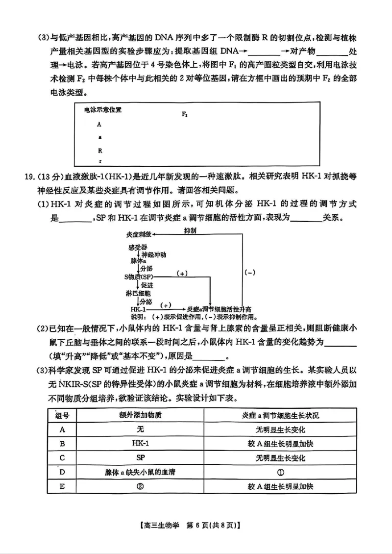 广东省深圳市宝安区2024-2025学年高三上学期期末考试生物试卷+答案_2025年1月_250121广东省深圳市宝安区2024-2025学年高三上学期期末考试（金太阳231C）（全科）