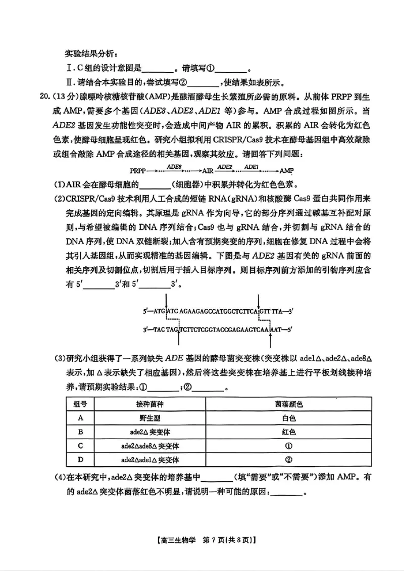 广东省深圳市宝安区2024-2025学年高三上学期期末考试生物试卷+答案_2025年1月_250121广东省深圳市宝安区2024-2025学年高三上学期期末考试（金太阳231C）（全科）