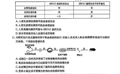 广东省深圳市宝安区2024-2025学年高三上学期期末考试生物试卷+答案_2025年1月_250121广东省深圳市宝安区2024-2025学年高三上学期期末考试（金太阳231C）（全科）