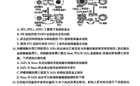 广东省深圳市宝安区2024-2025学年高三上学期期末考试生物试卷+答案_2025年1月_250121广东省深圳市宝安区2024-2025学年高三上学期期末考试（金太阳231C）（全科）