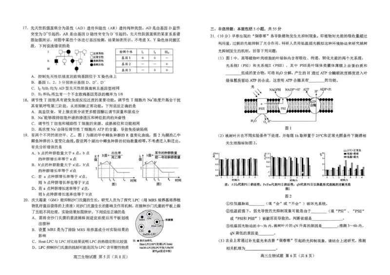 山东省菏泽市2025年高三一模考试生物山东省菏泽市2025年高三一模考试生物_2025年2月_250226山东省菏泽市2025年高三一模考试（全科）_2025届山东省菏泽市高三下学期一模考试生物学