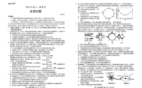山东省菏泽市2025年高三一模考试生物山东省菏泽市2025年高三一模考试生物_2025年2月_250226山东省菏泽市2025年高三一模考试（全科）_2025届山东省菏泽市高三下学期一模考试生物学