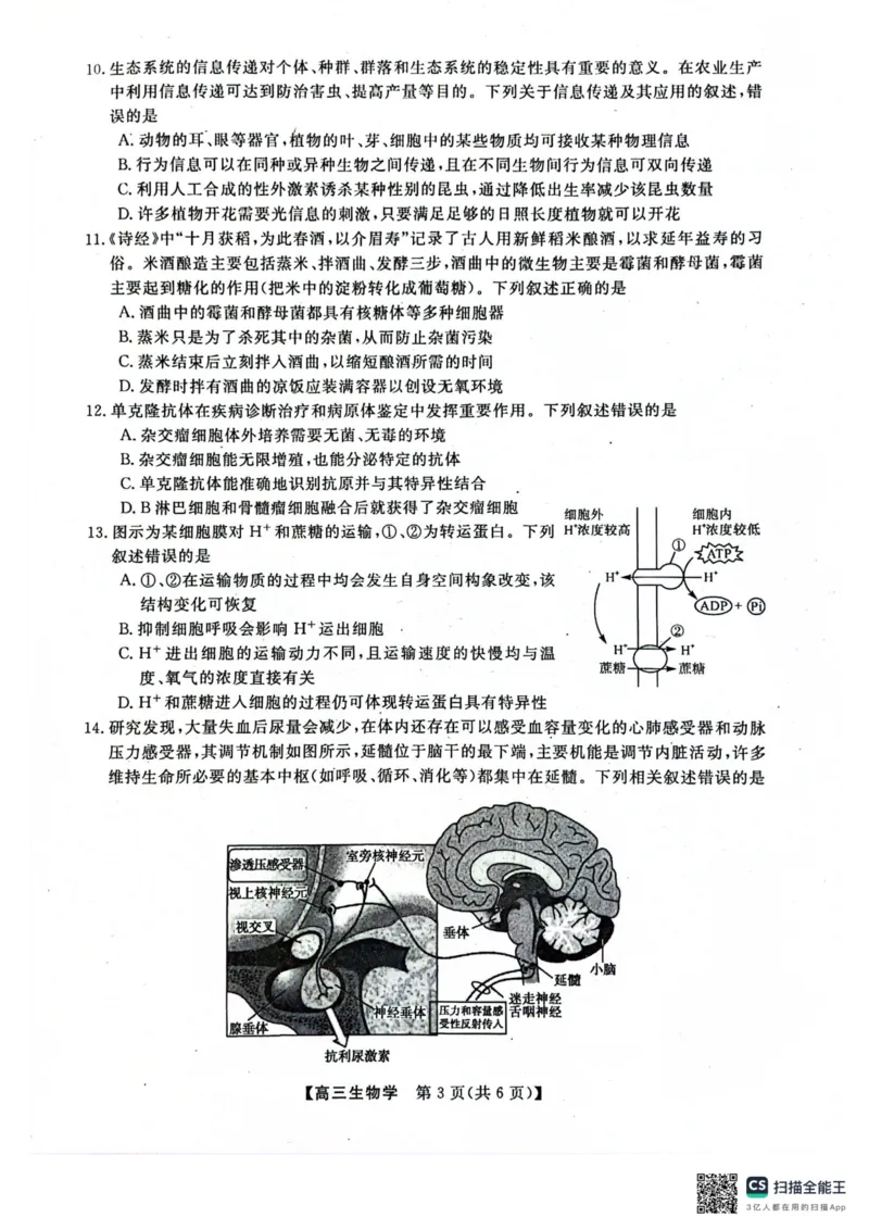 河池市2024年秋季学期高三期末学业水平质量检测生物_2025年1月_250118广西壮族自治区河池市2024年秋季学期高三期末学业水平质量检测（全科）