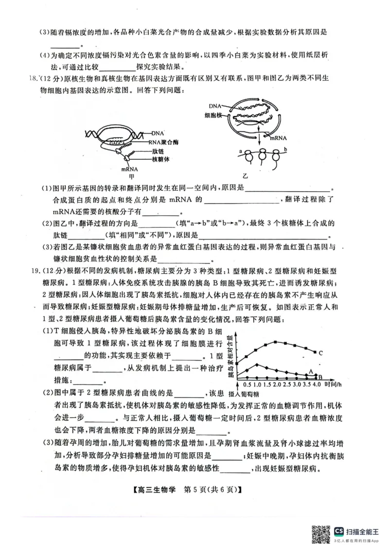 河池市2024年秋季学期高三期末学业水平质量检测生物_2025年1月_250118广西壮族自治区河池市2024年秋季学期高三期末学业水平质量检测（全科）