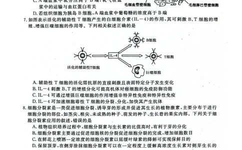 河池市2024年秋季学期高三期末学业水平质量检测生物_2025年1月_250118广西壮族自治区河池市2024年秋季学期高三期末学业水平质量检测（全科）