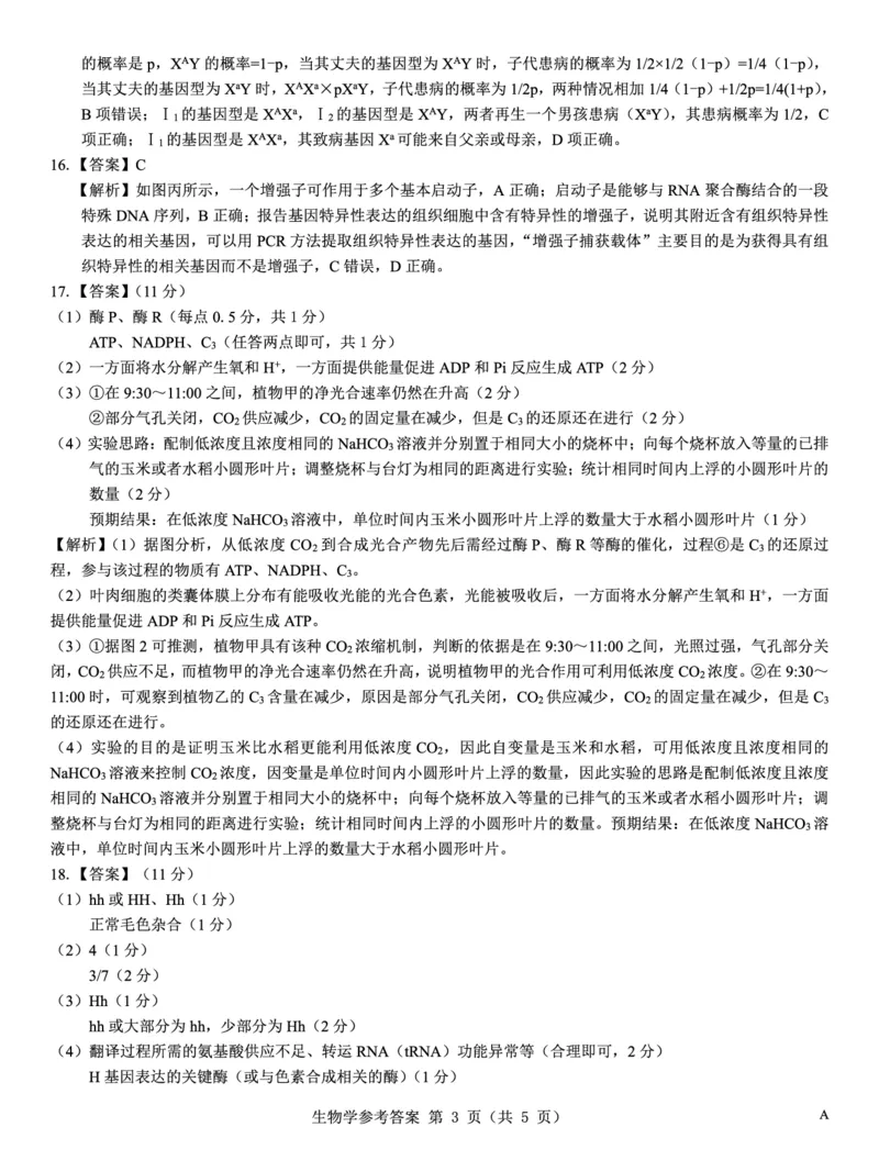名校教研联盟2026届高考仿真模拟卷（样卷）生物答案_2025年10月_251029名校教研联盟2026届高考仿真模拟卷（样卷）（全科）