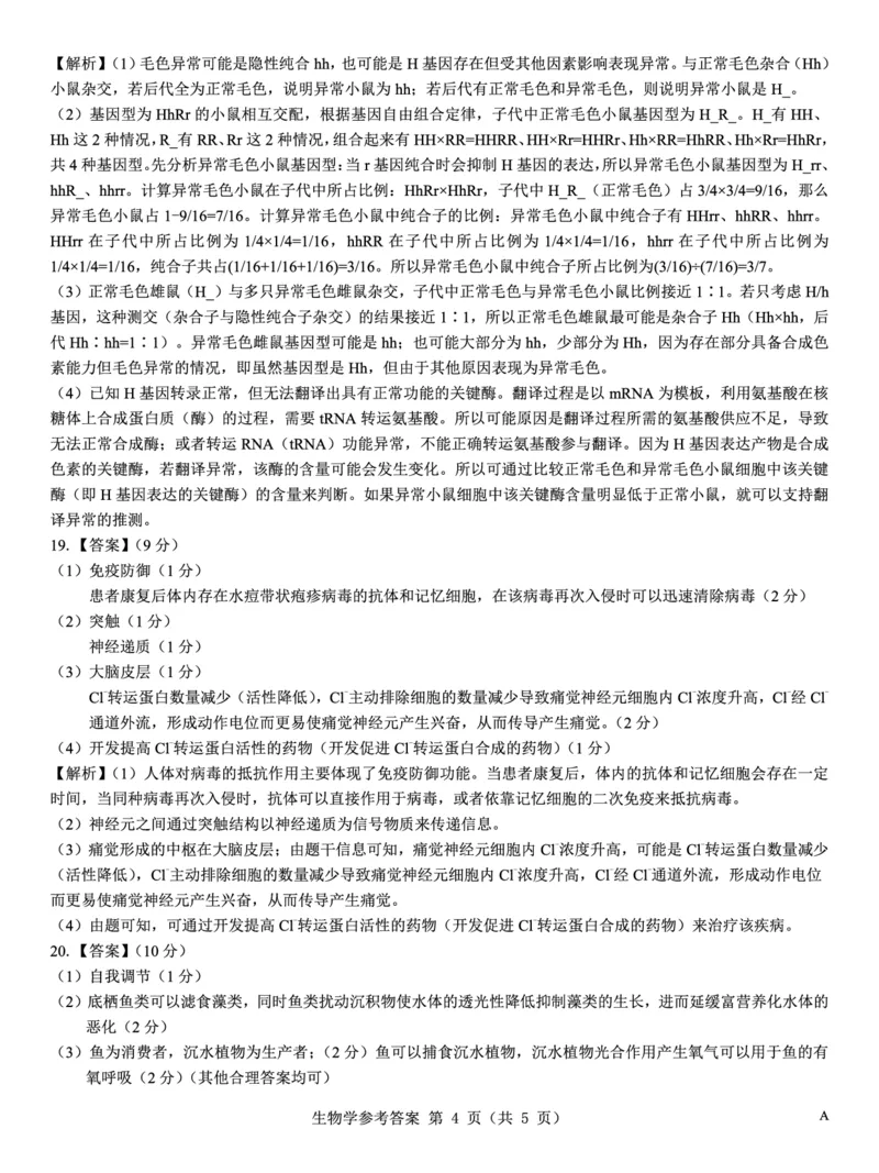 名校教研联盟2026届高考仿真模拟卷（样卷）生物答案_2025年10月_251029名校教研联盟2026届高考仿真模拟卷（样卷）（全科）