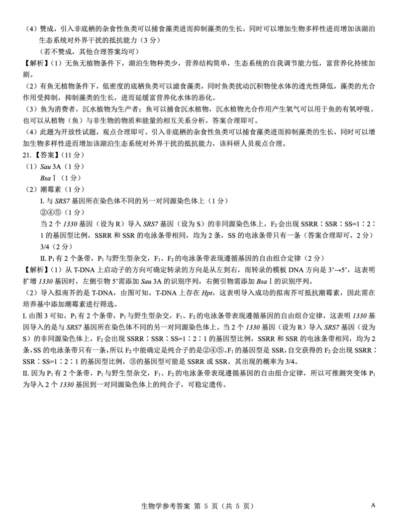 名校教研联盟2026届高考仿真模拟卷（样卷）生物答案_2025年10月_251029名校教研联盟2026届高考仿真模拟卷（样卷）（全科）