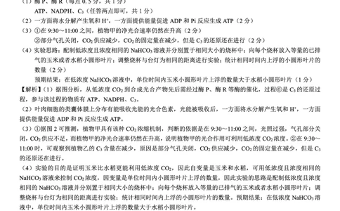 名校教研联盟2026届高考仿真模拟卷（样卷）生物答案_2025年10月_251029名校教研联盟2026届高考仿真模拟卷（样卷）（全科）
