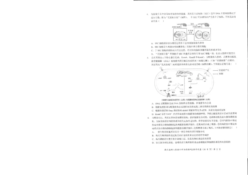 生物试卷_2025年5月_2505052025年湖北省新八校协作体高三5月联考（全科）