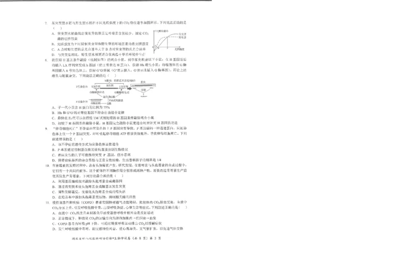 生物试卷_2025年5月_2505052025年湖北省新八校协作体高三5月联考（全科）