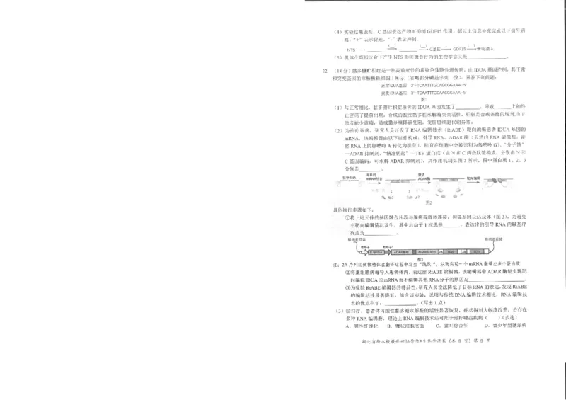 生物试卷_2025年5月_2505052025年湖北省新八校协作体高三5月联考（全科）