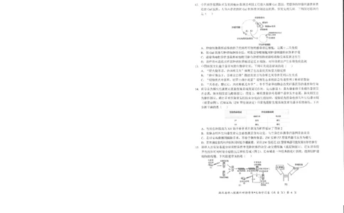 生物试卷_2025年5月_2505052025年湖北省新八校协作体高三5月联考（全科）