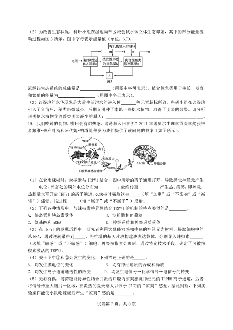 福建省福州第三中学2024-2025学年高三上学期模拟预测生物_2025年1月_250110福建省福州第三中学2024-2025学年高三上学期第七次模拟