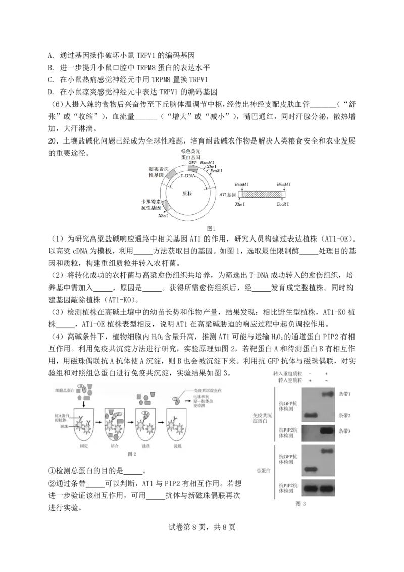 福建省福州第三中学2024-2025学年高三上学期模拟预测生物_2025年1月_250110福建省福州第三中学2024-2025学年高三上学期第七次模拟