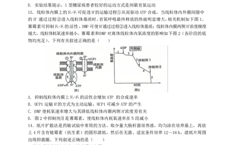 福建省福州第三中学2024-2025学年高三上学期模拟预测生物_2025年1月_250110福建省福州第三中学2024-2025学年高三上学期第七次模拟