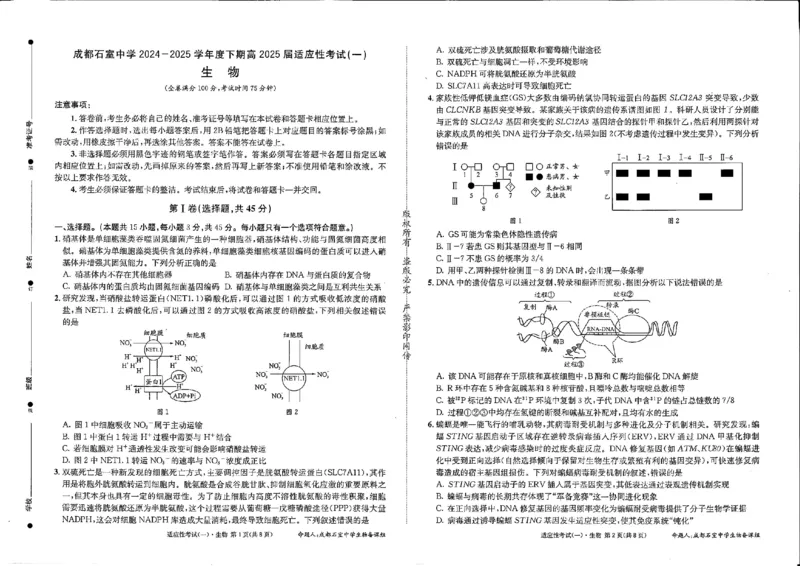 成都石室中学2024-2025学年度下期高2025届适应性考试（一)生物_2025年5月_250523四川省成都石室中学2024-2025学年度下期高2025届适应性考试（一）（全科）