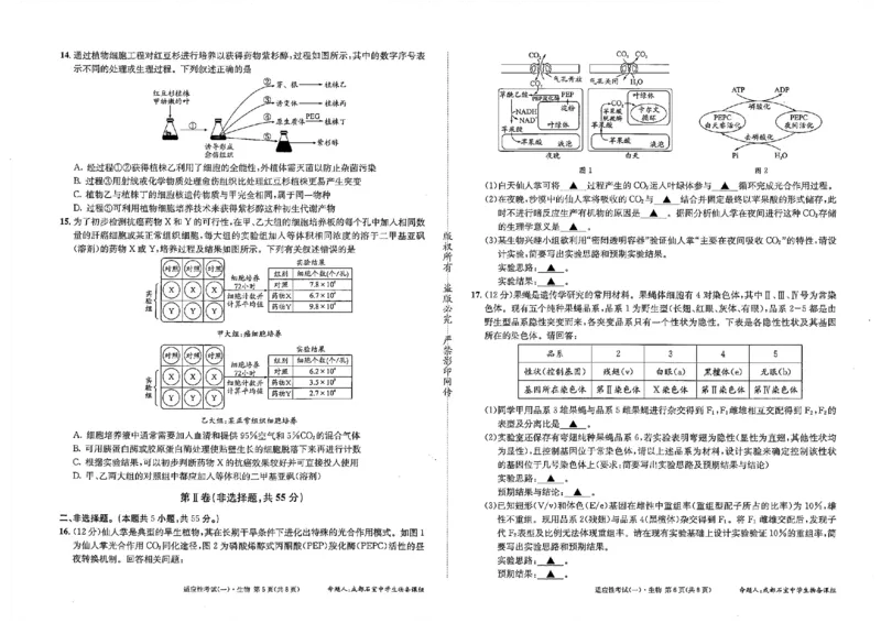 成都石室中学2024-2025学年度下期高2025届适应性考试（一)生物_2025年5月_250523四川省成都石室中学2024-2025学年度下期高2025届适应性考试（一）（全科）