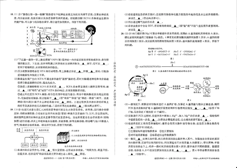 成都石室中学2024-2025学年度下期高2025届适应性考试（一)生物_2025年5月_250523四川省成都石室中学2024-2025学年度下期高2025届适应性考试（一）（全科）