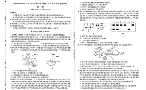 成都石室中学2024-2025学年度下期高2025届适应性考试（一)生物_2025年5月_250523四川省成都石室中学2024-2025学年度下期高2025届适应性考试（一）（全科）