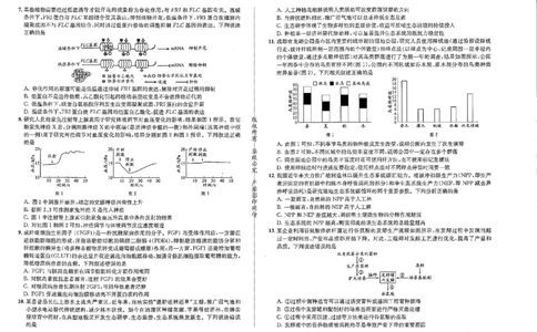 成都石室中学2024-2025学年度下期高2025届适应性考试（一)生物_2025年5月_250523四川省成都石室中学2024-2025学年度下期高2025届适应性考试（一）（全科）