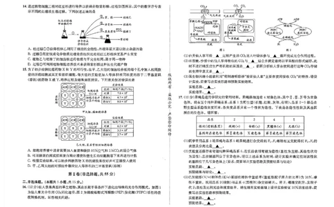 成都石室中学2024-2025学年度下期高2025届适应性考试（一)生物_2025年5月_250523四川省成都石室中学2024-2025学年度下期高2025届适应性考试（一）（全科）