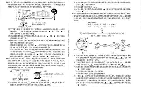 成都石室中学2024-2025学年度下期高2025届适应性考试（一)生物_2025年5月_250523四川省成都石室中学2024-2025学年度下期高2025届适应性考试（一）（全科）