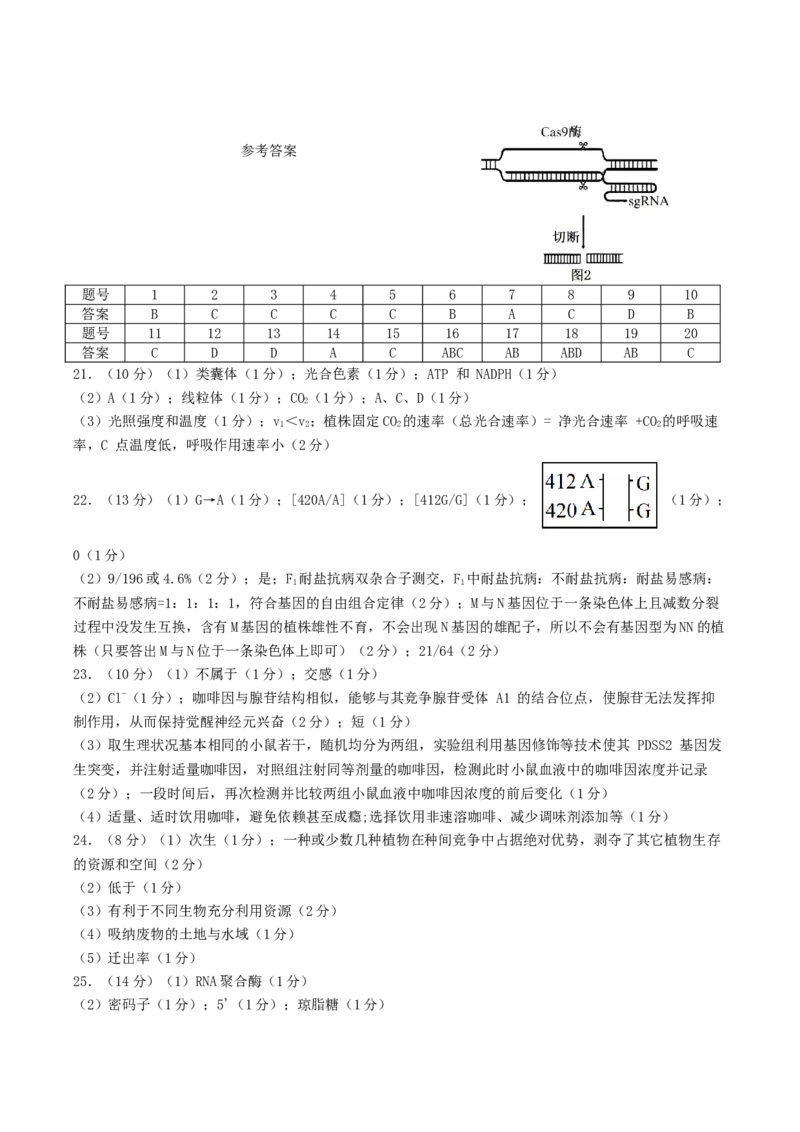 山东省启思大联考2026届高三上学期暑假第一次模拟考试（开学）生物试卷（有答案）_2025年8月_250815山东省启思大联考2026届高三上学期暑假第一次模拟考试（开学）