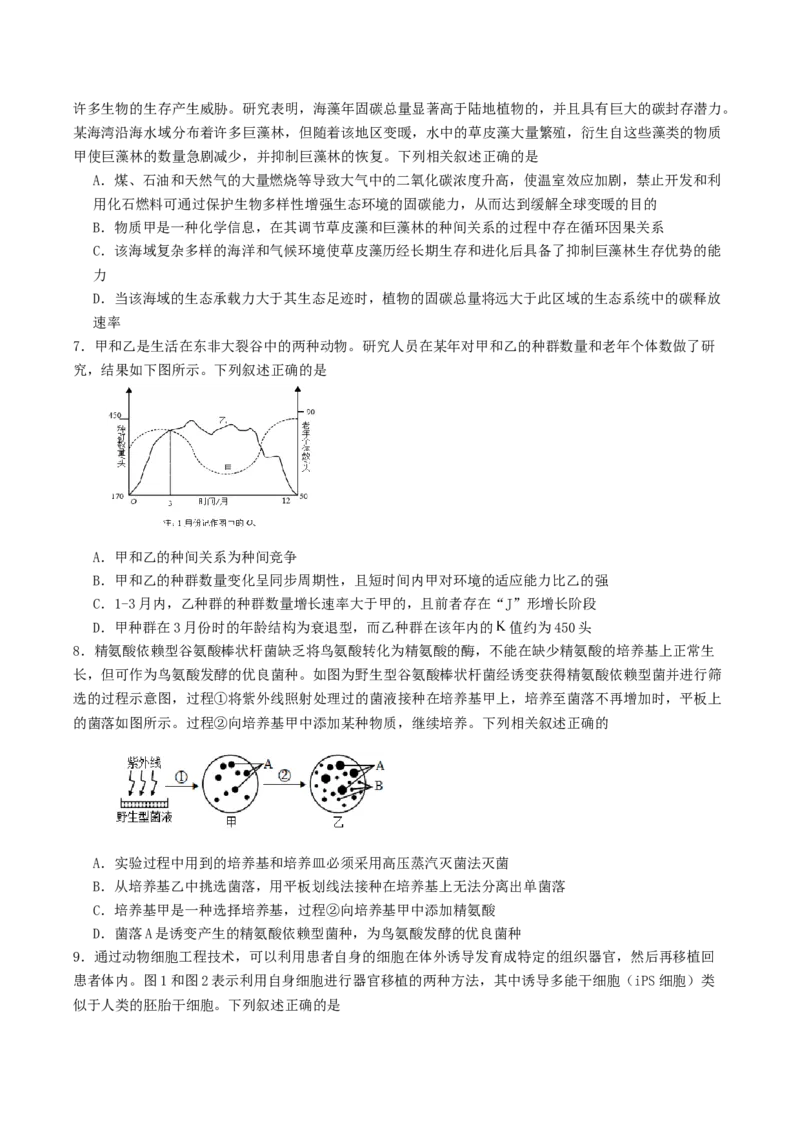 山东省启思大联考2026届高三上学期暑假第一次模拟考试（开学）生物试卷（有答案）_2025年8月_250815山东省启思大联考2026届高三上学期暑假第一次模拟考试（开学）