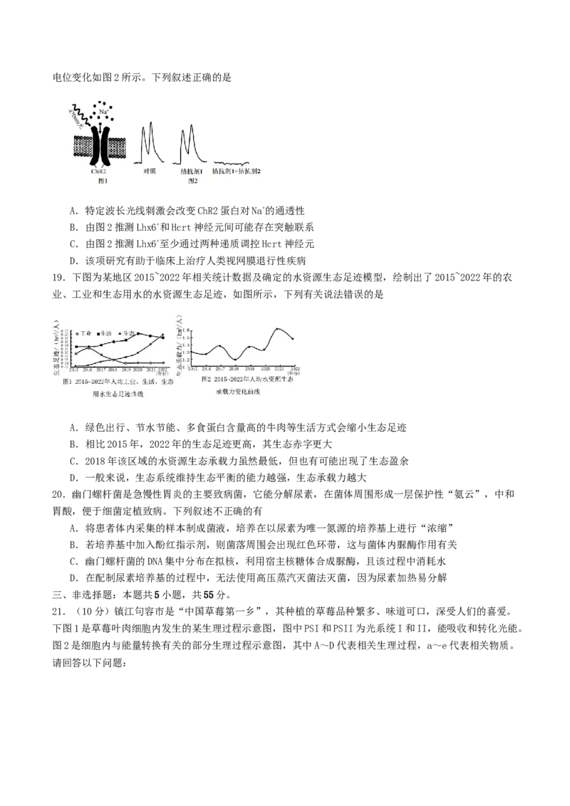 山东省启思大联考2026届高三上学期暑假第一次模拟考试（开学）生物试卷（有答案）_2025年8月_250815山东省启思大联考2026届高三上学期暑假第一次模拟考试（开学）