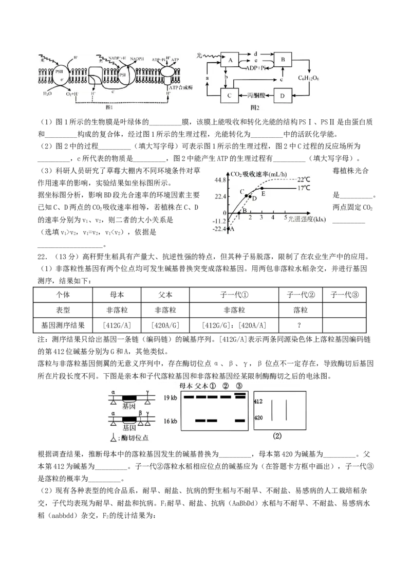 山东省启思大联考2026届高三上学期暑假第一次模拟考试（开学）生物试卷（有答案）_2025年8月_250815山东省启思大联考2026届高三上学期暑假第一次模拟考试（开学）