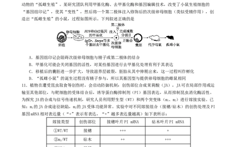 山东省启思大联考2026届高三上学期暑假第一次模拟考试（开学）生物试卷（有答案）_2025年8月_250815山东省启思大联考2026届高三上学期暑假第一次模拟考试（开学）