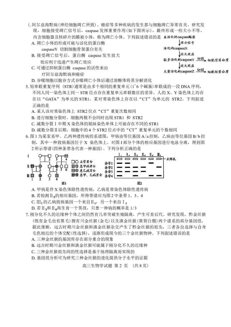 山东省日照市2025届高三2月校际联合考试生物学试卷（含答案）_2025年2月_2502212025届山东省日照市高三下学期校际联合考试(一模)（全科）