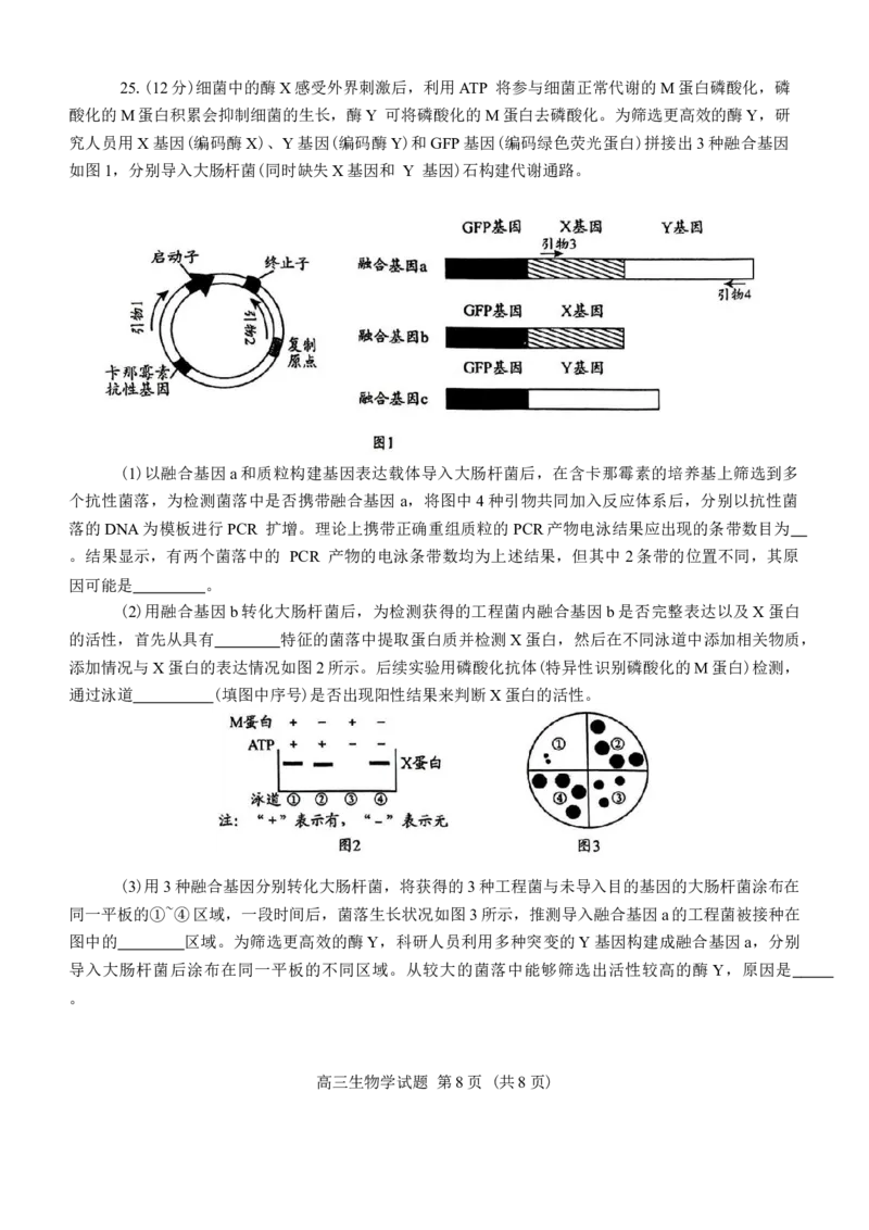 山东省日照市2025届高三2月校际联合考试生物学试卷（含答案）_2025年2月_2502212025届山东省日照市高三下学期校际联合考试(一模)（全科）